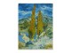 Van Gogh / Van Gog  REPRODUKCIJA (FORMAT A3) slika 1