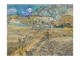 Van Gogh / Van Gog  REPRODUKCIJA (FORMAT A3) slika 3