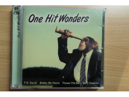 Various ‎– One Hit Wonders 2CD 32 HITS