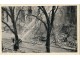 Vatrogasci, požar, Nemačka, Štutgart, 1931 slika 1