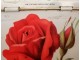 Vintage stara engleska limena kutija sa ružama slika 4