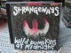WILD PUMPKINS AT MIDNIGHT-ROCK-ORIGINAL CD slika 1