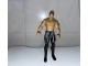 WWE Chris Jericho slika 1