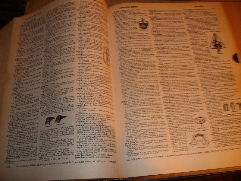 Webster`s new universal unabridged dictionary