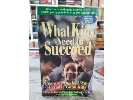 What Kids Need to Succeed - Benson, Galbraith, Espeland