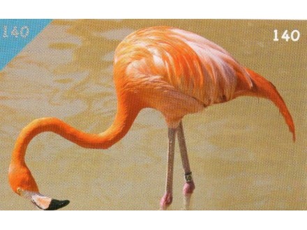 ŽIVOTINJSKO CARSTVO 2016 br.140 Karipski Flamingo