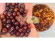 ZUTE I BORDO godzi bobice - 100 g (goji berry) sveze slika 2