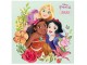 Zidni kalendar 2022 - Disney, Princess Classics, 30x30 cm - Disney, Disney Princess slika 1