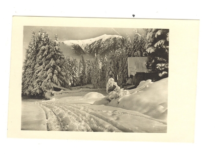 Zima,cb razglednica,1955,putovala.