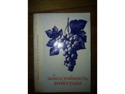 Zimostoikost vinograda na ruskom
