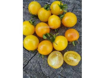 Žuti čeri paradajz, 15 semena