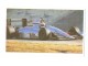 Žvake-Formula No1 (Imperial) broj 14 slika 1