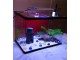 akvarijum za mrest ribica - 7 litara - 22x22x18 slika 2