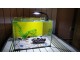 akvarijum za mrest ribica - 7 litara - 22x22x18 slika 3