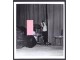 beograd 1959 koncert Luj Armstrong 2 fotke JAZZ slika 2