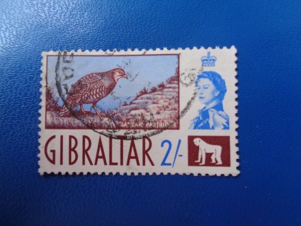 gibraltar 33