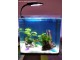 hauba-LED svetlo 2,8W za akvarijum slika 16