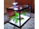 hauba-LED svetlo 3W za akvarijum slika 1