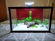 hauba-LED svetlo 3W za akvarijum slika 12