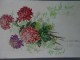 kerberi cveće Kerber virágok /VII-33/ slika 1