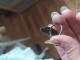 srebro filigran sedef prsten slika 2